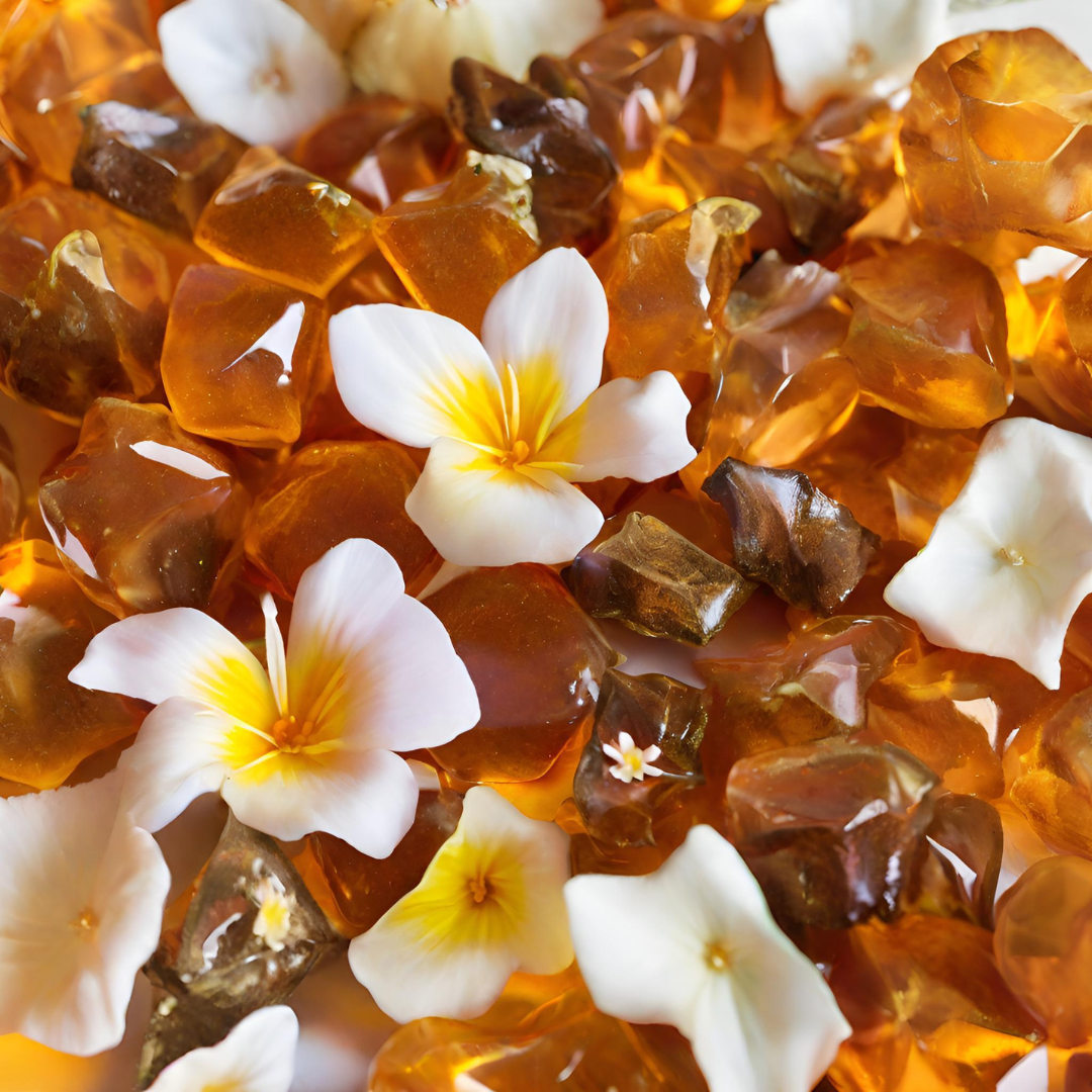 Amber Floral Fragrances