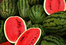 Watermelon Lip Balm